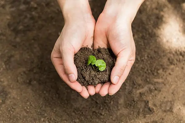 土壤修复及环境质量评价 