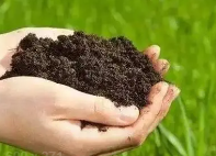 土壤淋溶试验 